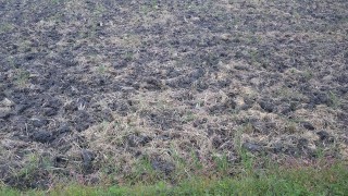 来年の準備開始