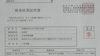 放射能の検査結果