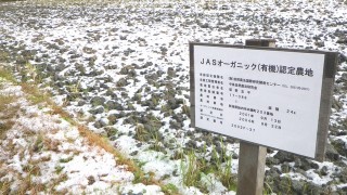 完売ありがとうございました。