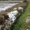 冬の用水路