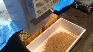 最近の田んぼの様子　from塚野