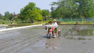 田植え終わりました