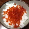 新米のイクラ丼