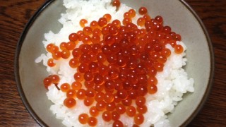 新米のイクラ丼