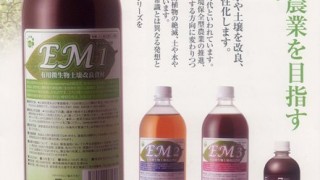 水回りと追肥とEM菌散布