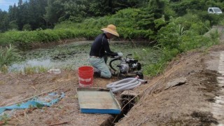 水揚げポンプが壊れた・・・。