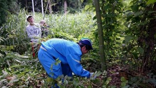 農業体験農業体験　2日目