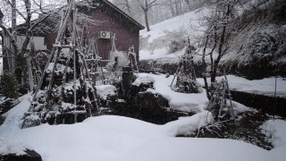 今日の雪