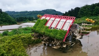 田植え作業