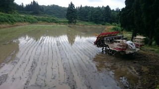 田植えの、ラスト・スパート！