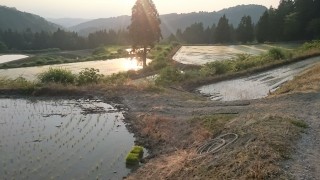 雨が降らない！