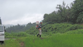 晴耕雨読？！？