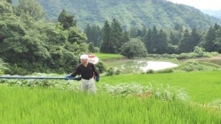 優しい雨の中で・・・。