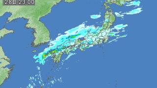 雨音で目が覚める・・・。