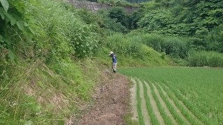 今日も、水回り・・・。