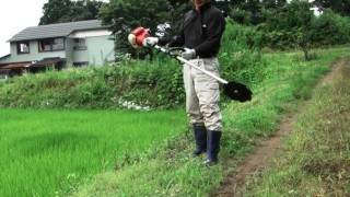 除草剤を控えた草刈り作業