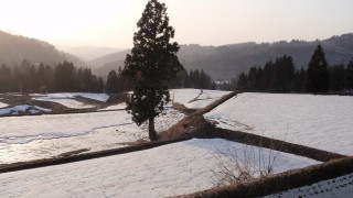 棚田の雪