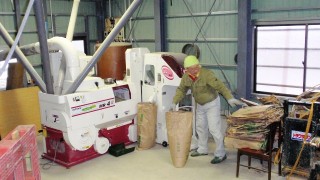 お米の調整作業