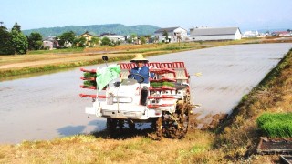 田植えが始まりました