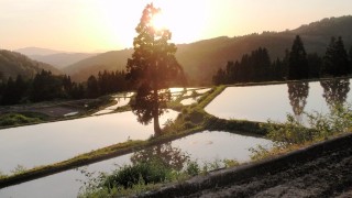 田植えを待つ棚田