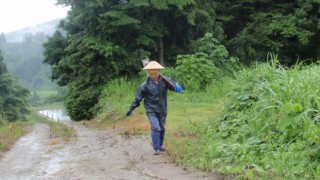 水路パトロール