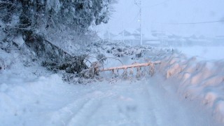 新潟は雪の中