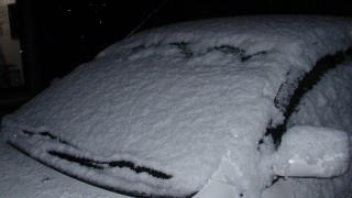 新潟は雪模様