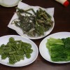 山菜三昧