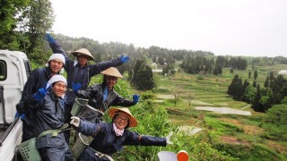 田植え体験ツアー御一行様