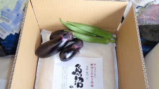 新鮮野菜のプレゼント