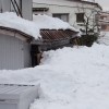 大雪の被害