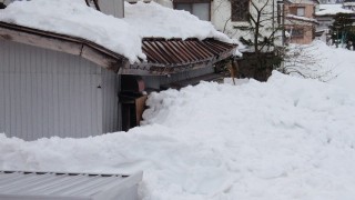 大雪の被害