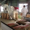 籾つき・雪中保存米の出荷を開始