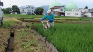 お中元に！棚田米！！