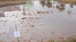 エコファーマー