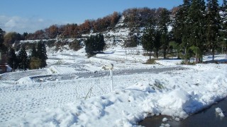 棚田に初雪