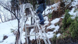 雪囲い（棚田の積雪は60ｃｍ）