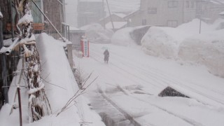 大雪注意報　弥生寒波