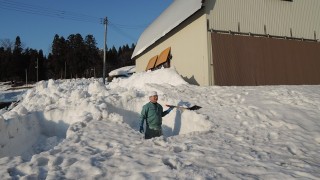 棚田の残雪は、1.5m