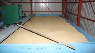 米ぬか肥料つくり