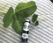 田植えの真っ最中に