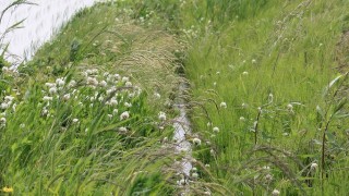 花の咲くあぜ道へ