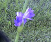 好きだけど困るもの