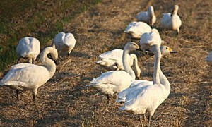 季節の変わり目