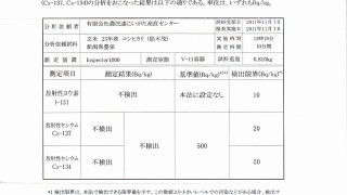 放射性物質の検査結果