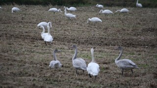 冬はもうすぐそこまで