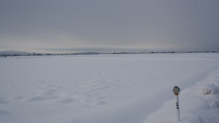 今年は冬らしくなるのかな