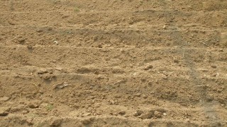 苗箱を並べる場所