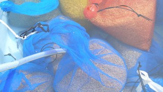 温湯消毒後の種籾