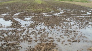 田んぼへの水入れ
